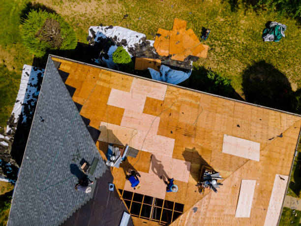 Best Emergency Roof Repair  in Lakeview, MI