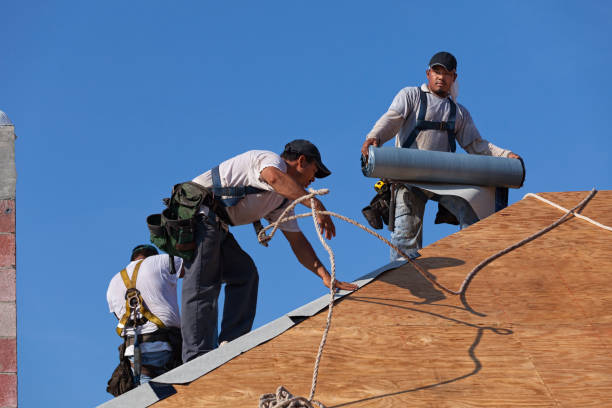 Best Emergency Roof Repair  in Lakeview, MI