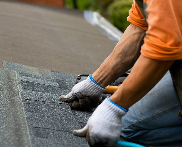 Best Commercial Roof Installation  in Lakeview, MI