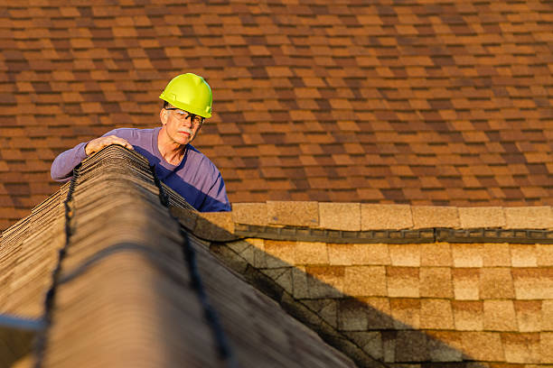 Best Storm Damage Roof Repair  in Lakeview, MI