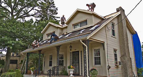 Best Metal Roofing Contractor  in Lakeview, MI