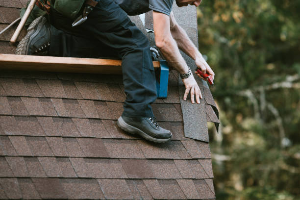 Best Roof Leak Repair  in Lakeview, MI