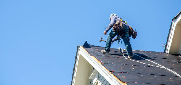 Best New Roof Installation  in Lakeview, MI